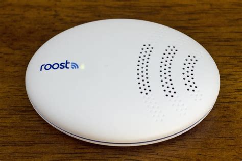 Roost Smart Leak Detector